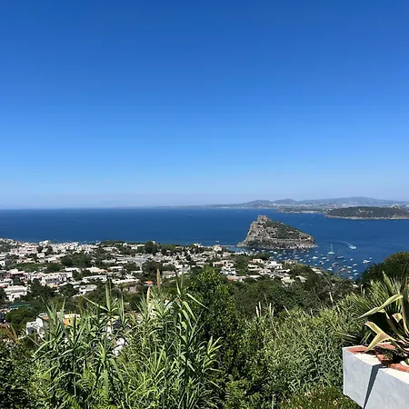 Barracuda Sea View & Dinner Experience 4* Ischia