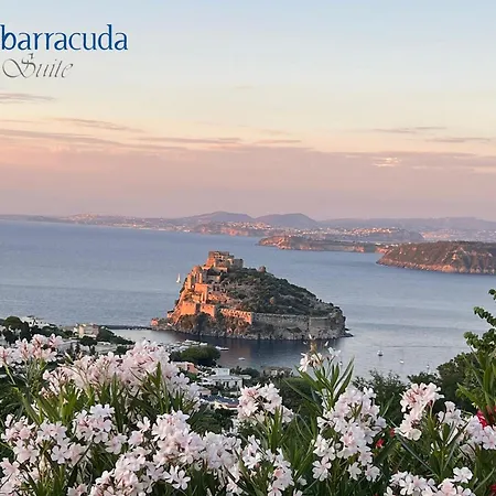 Barracuda Sea View & Dinner Experience 4*