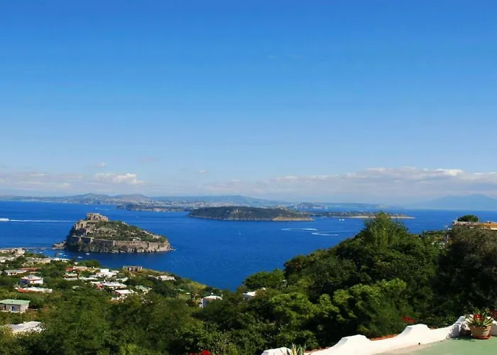 Barracudasuite Bed and breakfast