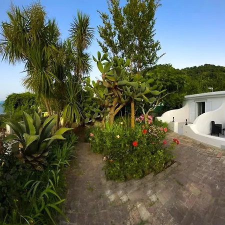 Barracudasuite Bed & Breakfast *