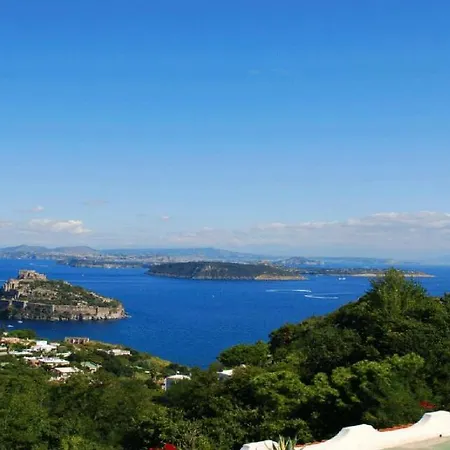 Barracudasuite לינה וארוחת בוקר