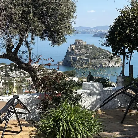 Bed & Breakfast Barracuda Sea View & Dinner Experience