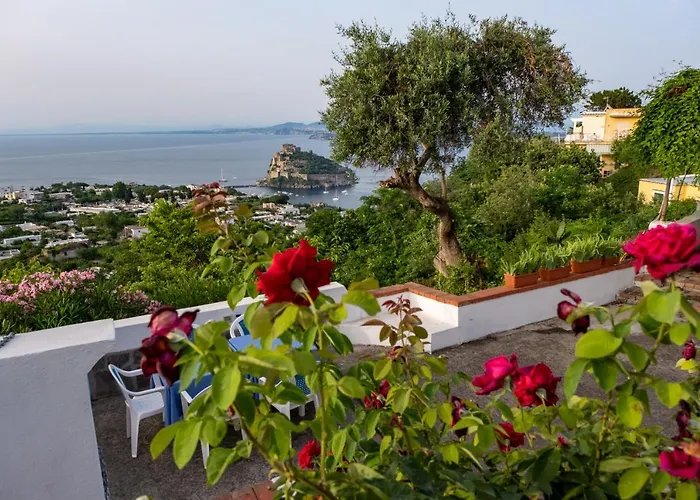 ベッド・アンド・ブレックファスト Barracuda Sea View & Dinner Experience イスキア島