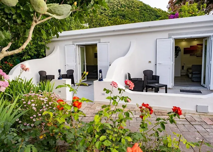 Barracuda Sea View & Dinner Experience