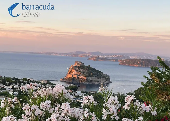 Barracuda Sea View & Dinner Experience 4*