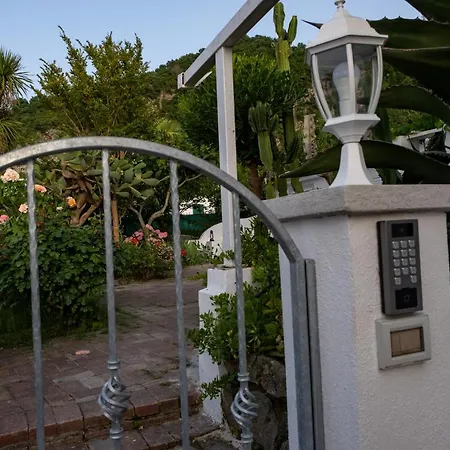 Barracuda Sea View & Dinner Experience 4*
