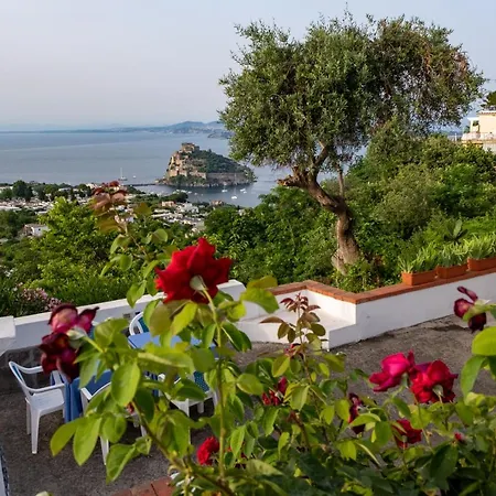 Couette-café Barracuda Sea View & Dinner Experience Ischia