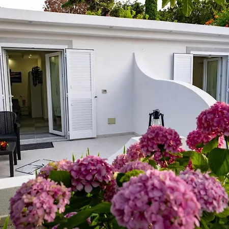 فندق مبيت وإفطار Barracuda Sea View & Dinner Experience